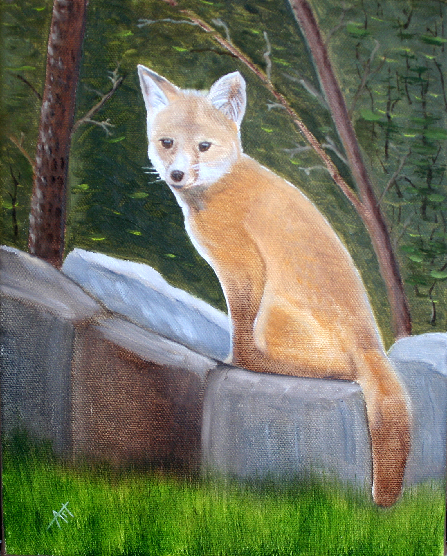 fox